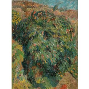 画像: 中村彝画額「大島風景」