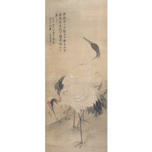 画像: 跡見花蹊画賛幅「双鶴図」