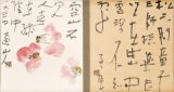 画像: 勅使河原蒼風色紙２枚貼込幅
