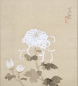 画像: 冨田渓仙画幅「菊花」