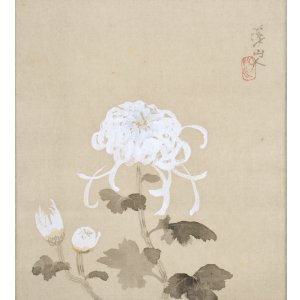 画像: 冨田渓仙画幅「菊花」