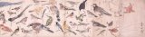 画像: 鳥類写生図巻