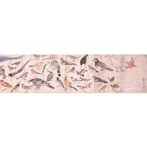 画像: 鳥類写生図巻