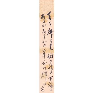 画像: 野長瀬晩花俳句短冊「天を摩ち」