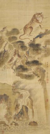 画像: 真村蘆江画幅「滝上虎図」