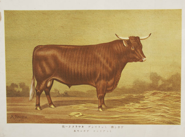 画像: 石版画「牛の図」６枚