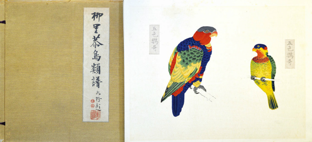 画像1: 柳里恭鳥類譜