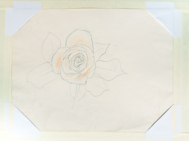 画像1: 奥村土牛素描額「薔薇」