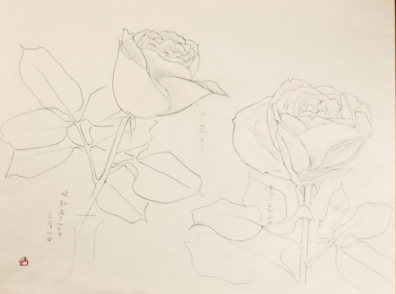 画像: 奥村土牛素描額「薔薇」