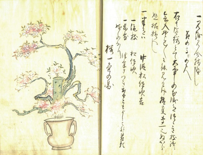 画像: 池坊口伝書　２冊