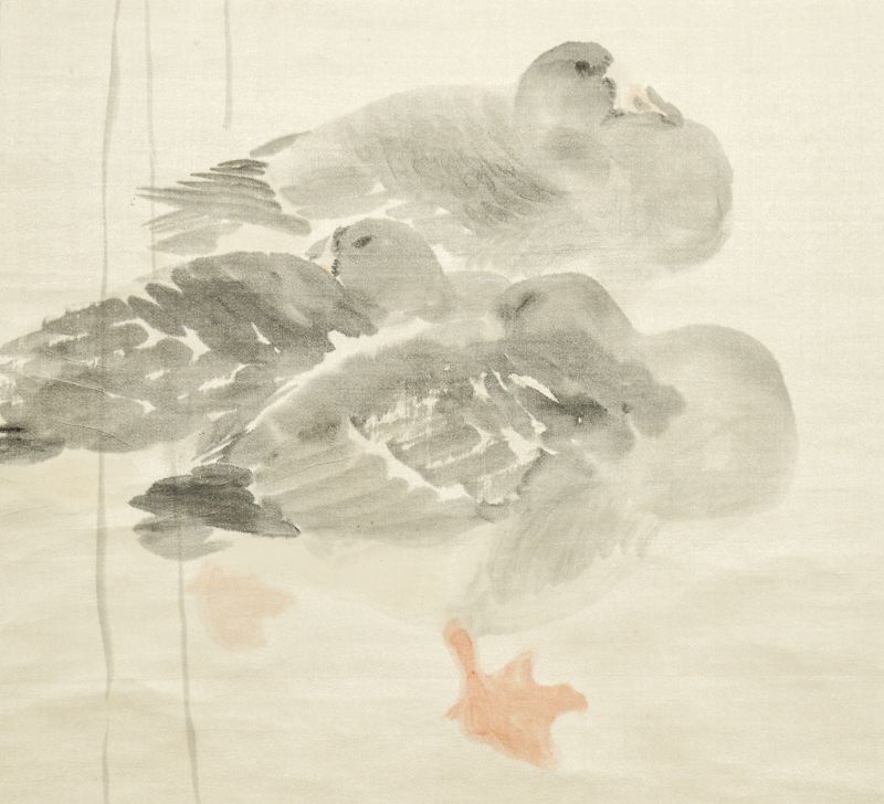 画像: 平福百穂画幅「鴨」