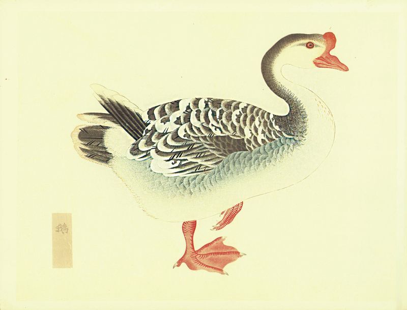 画像: 柳里恭鳥類譜