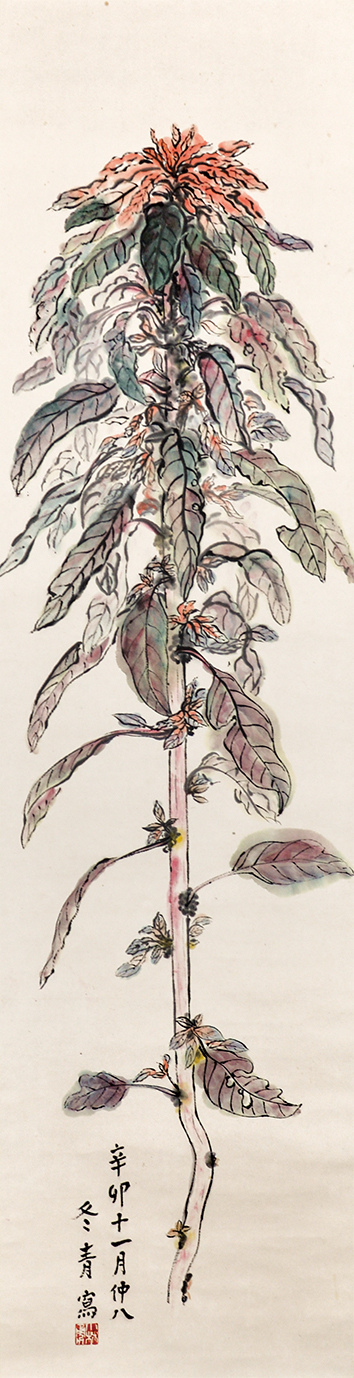 画像1: 冬青小林勇画幅「雁来紅」