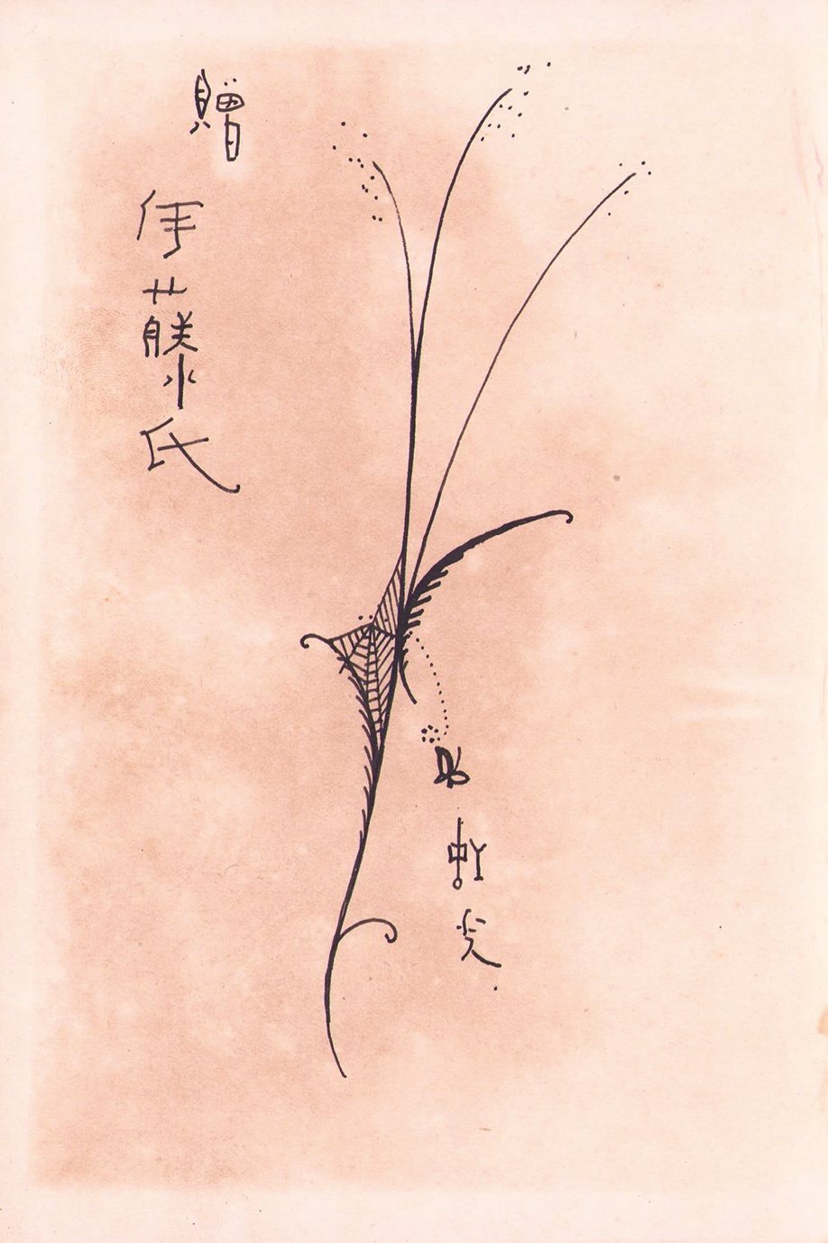 画像: 孤り星