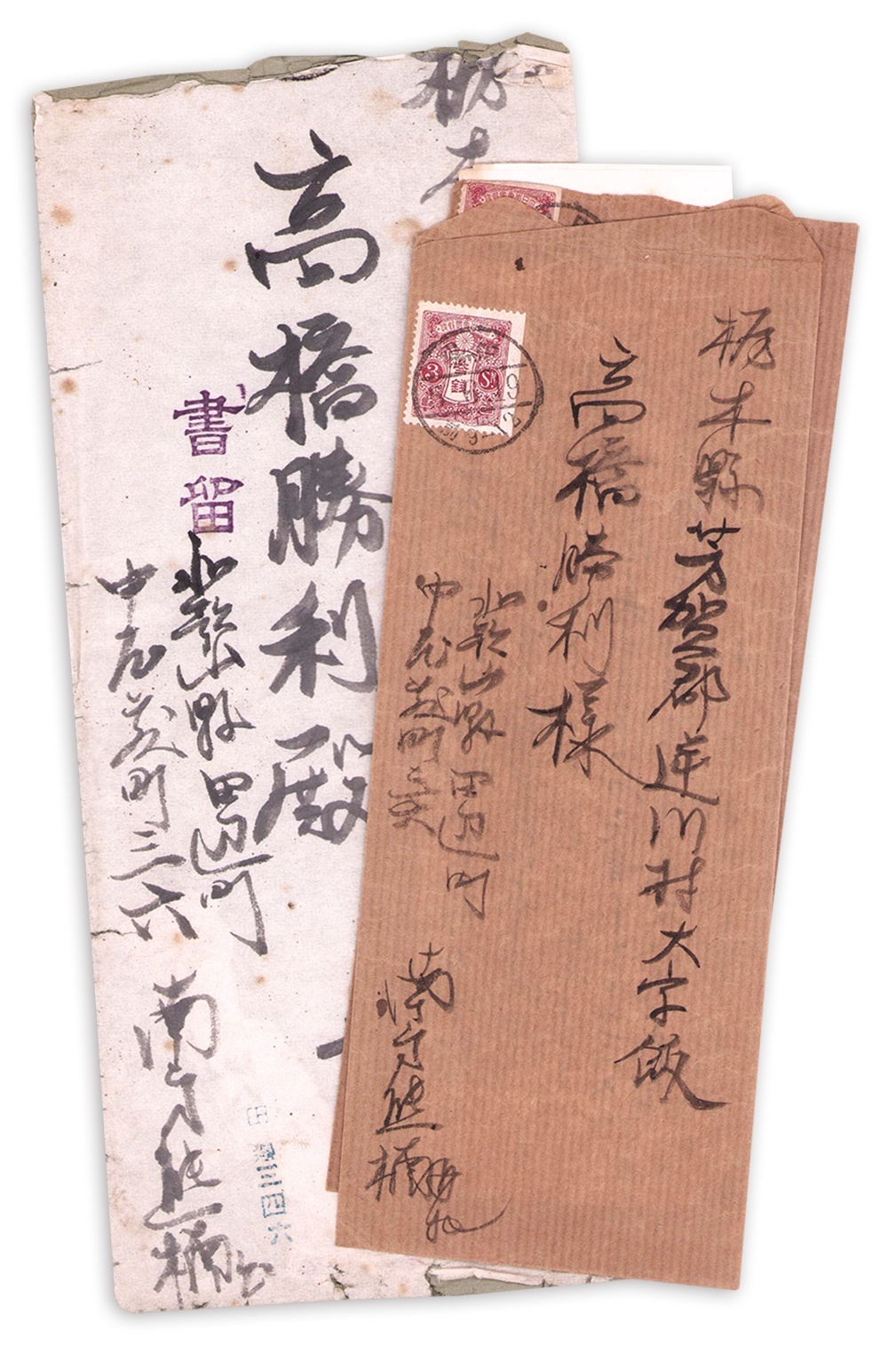 画像: 南方熊楠書簡・原稿