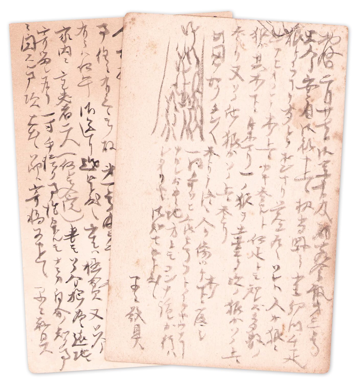 画像: 南方熊楠書簡・原稿