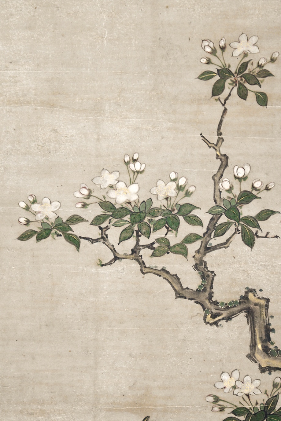 画像: 伝狩野松栄画幅「花鳥図」