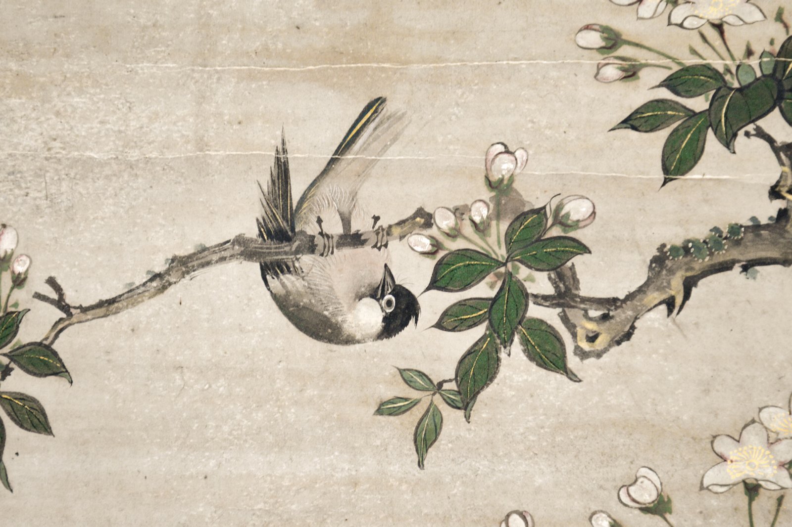 画像: 伝狩野松栄画幅「花鳥図」