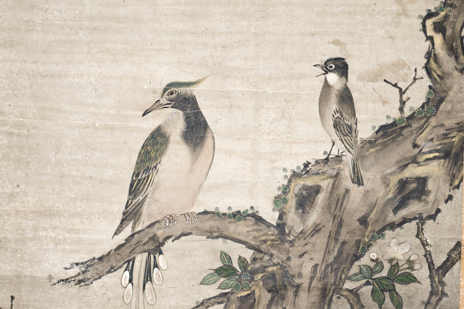 画像: 伝狩野松栄画幅「花鳥図」