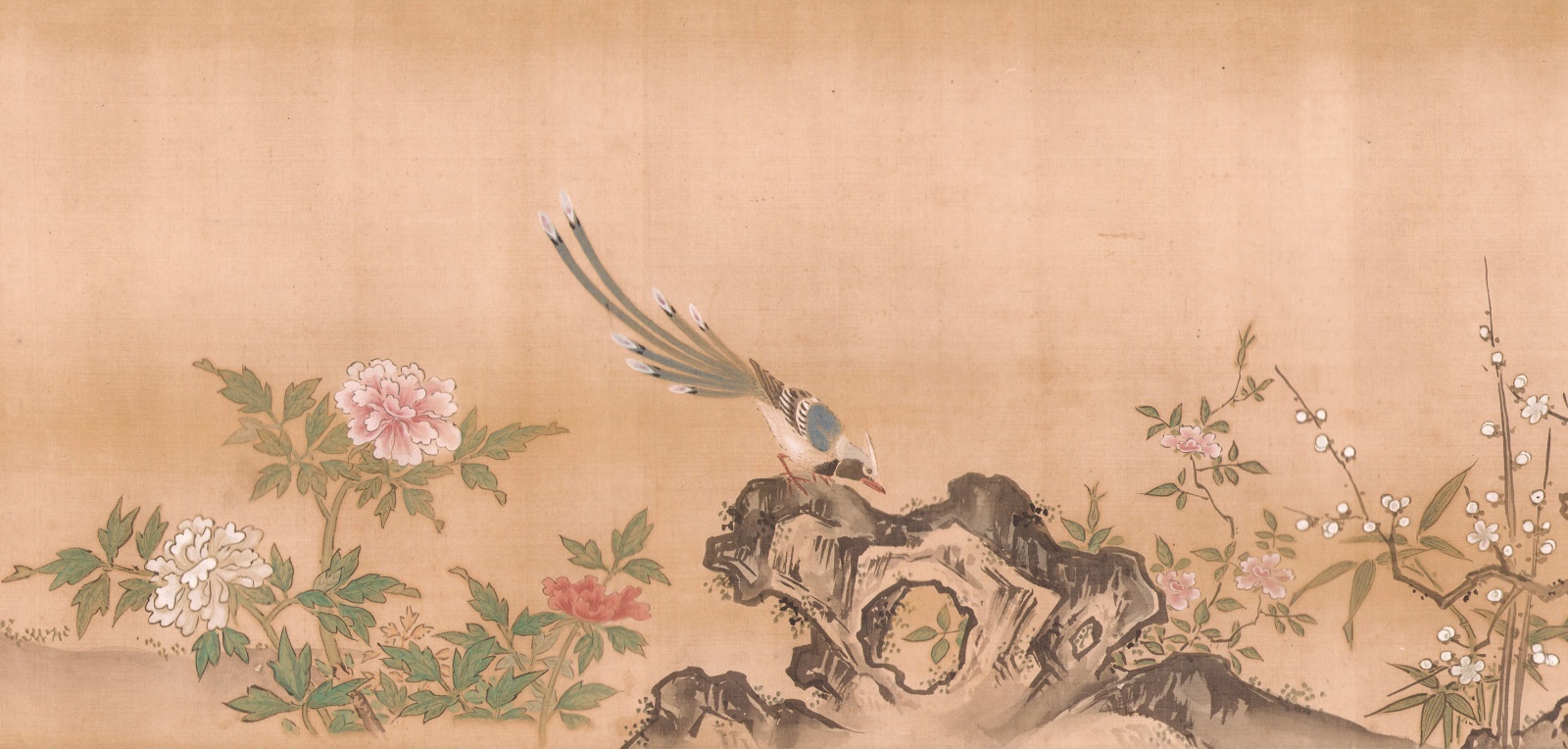 画像: 狩野周信花鳥画巻