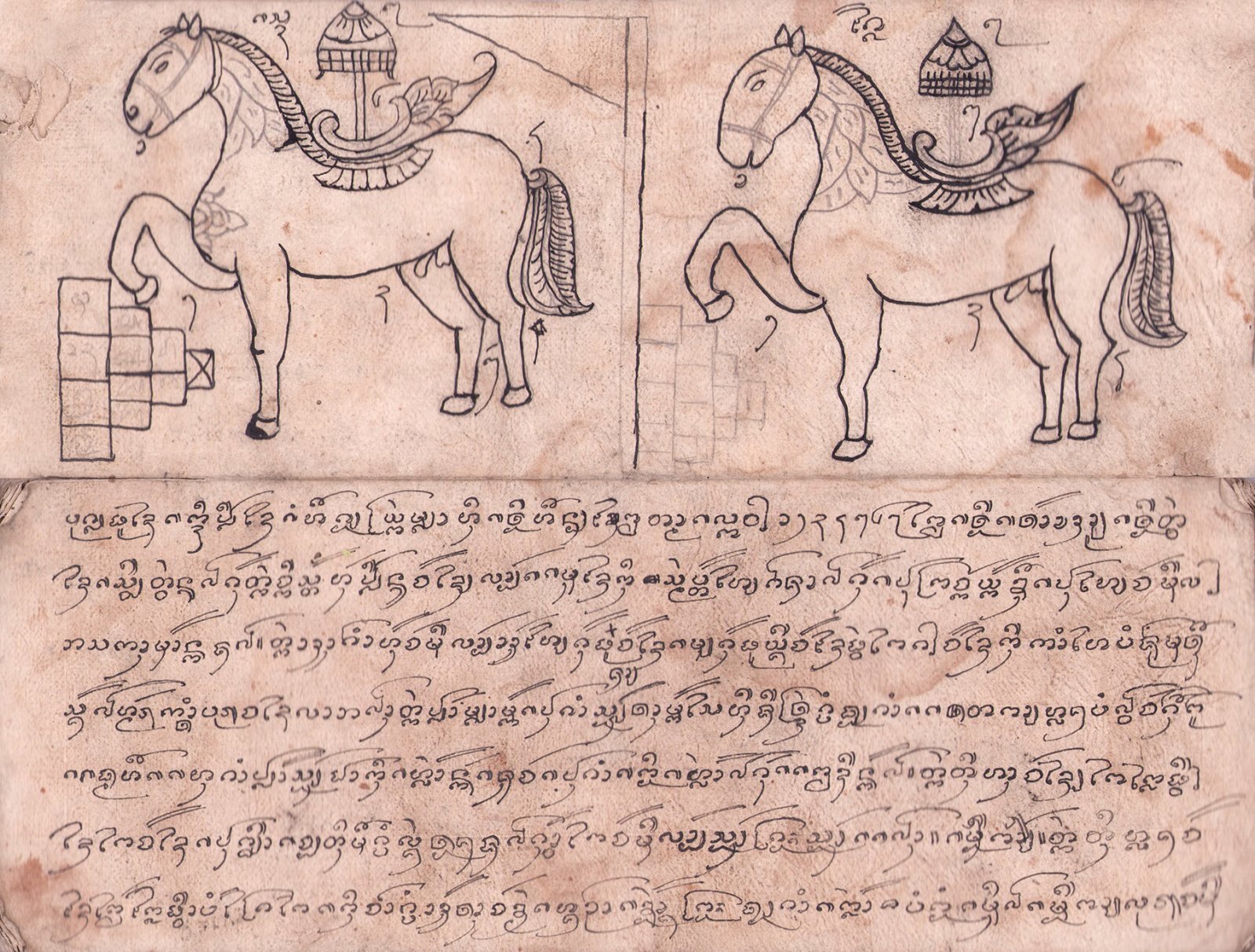 画像: チベット馬の図