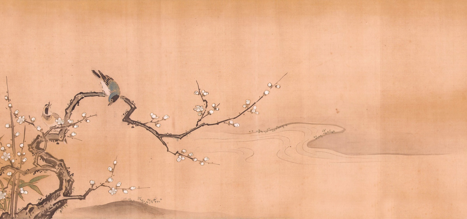 画像1: 狩野周信花鳥画巻