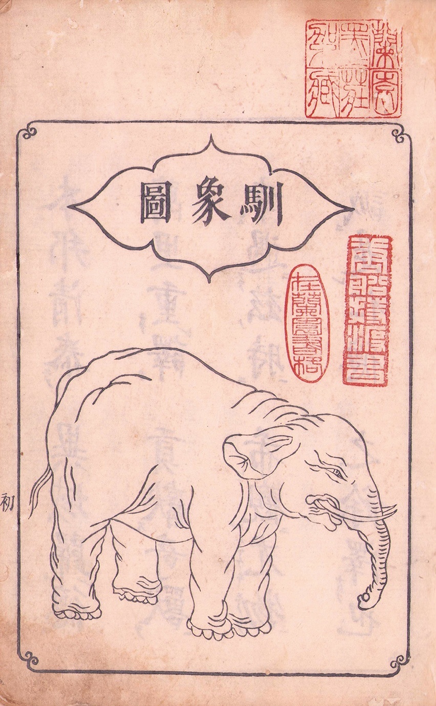 画像: 版本　象志