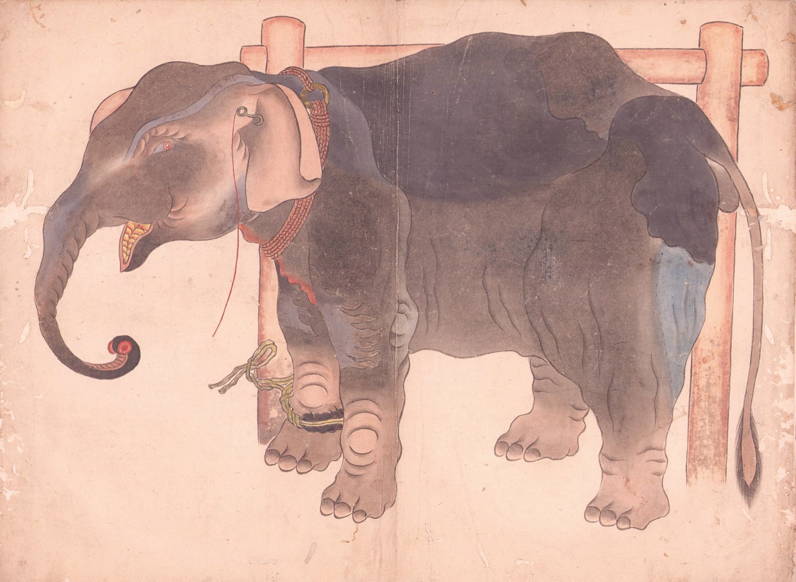 画像: 象図　写本