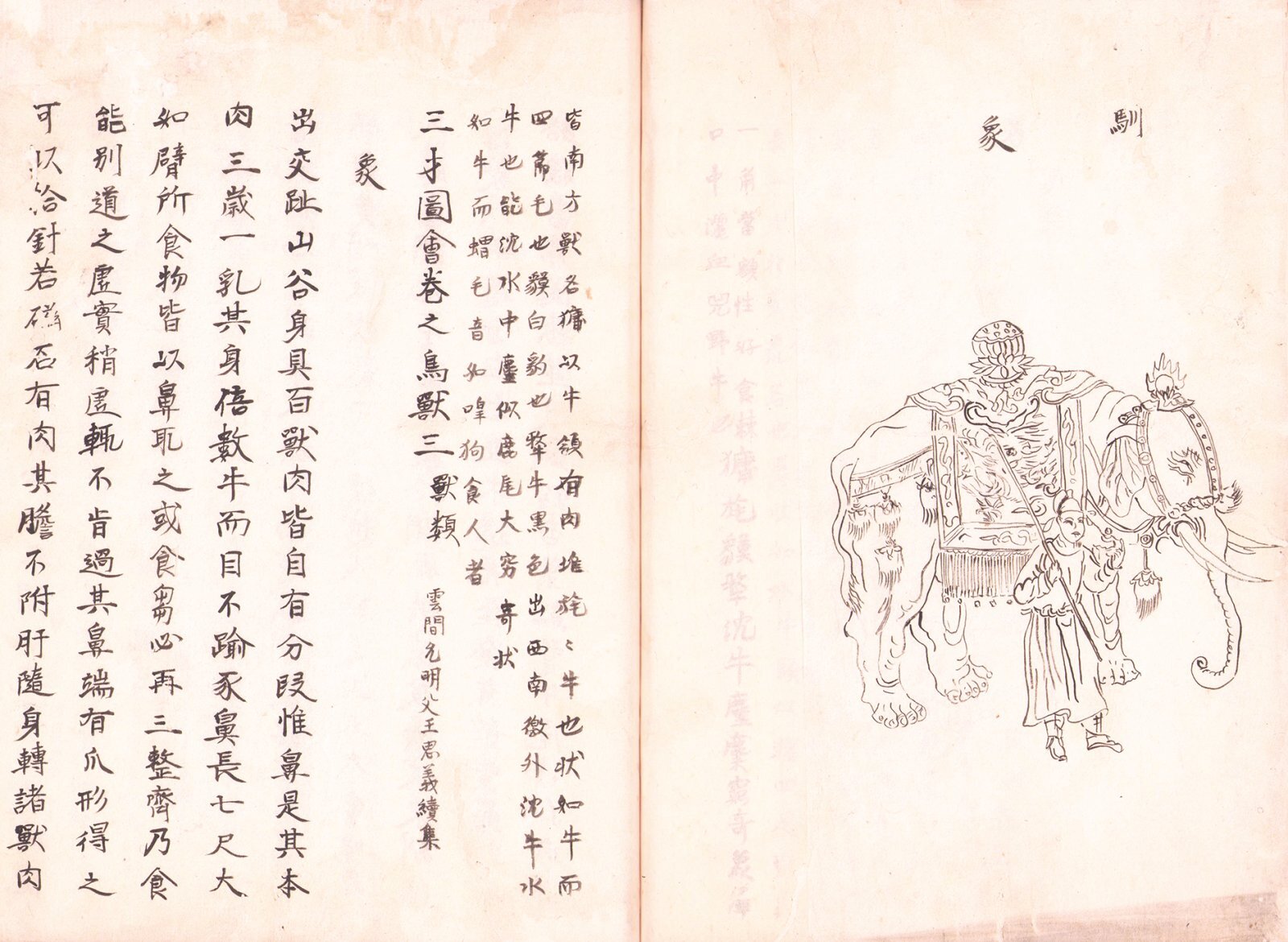 画像: 写本　象説類聚