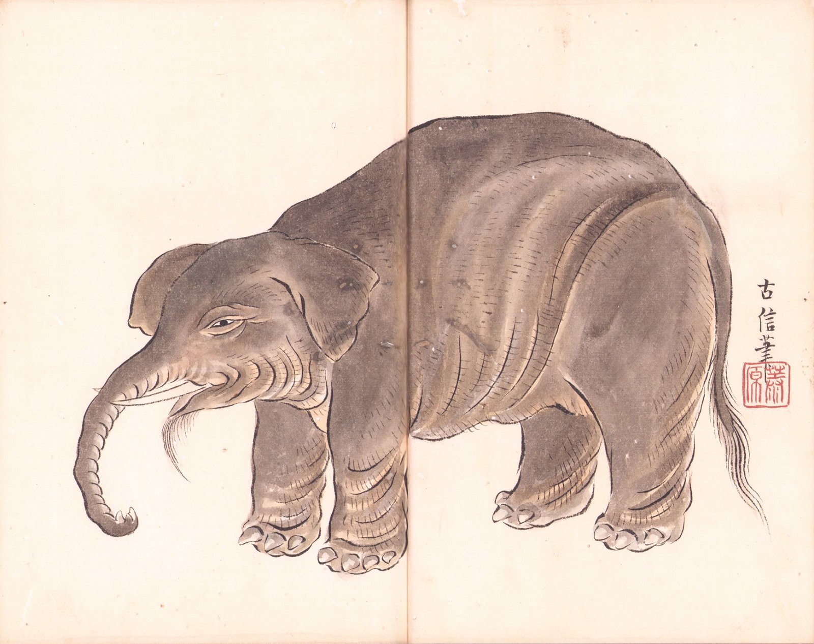 画像: 写本　象誌