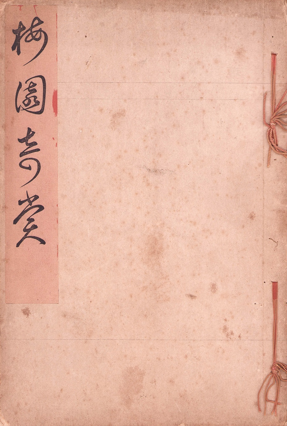 画像1: 梅園奇賞