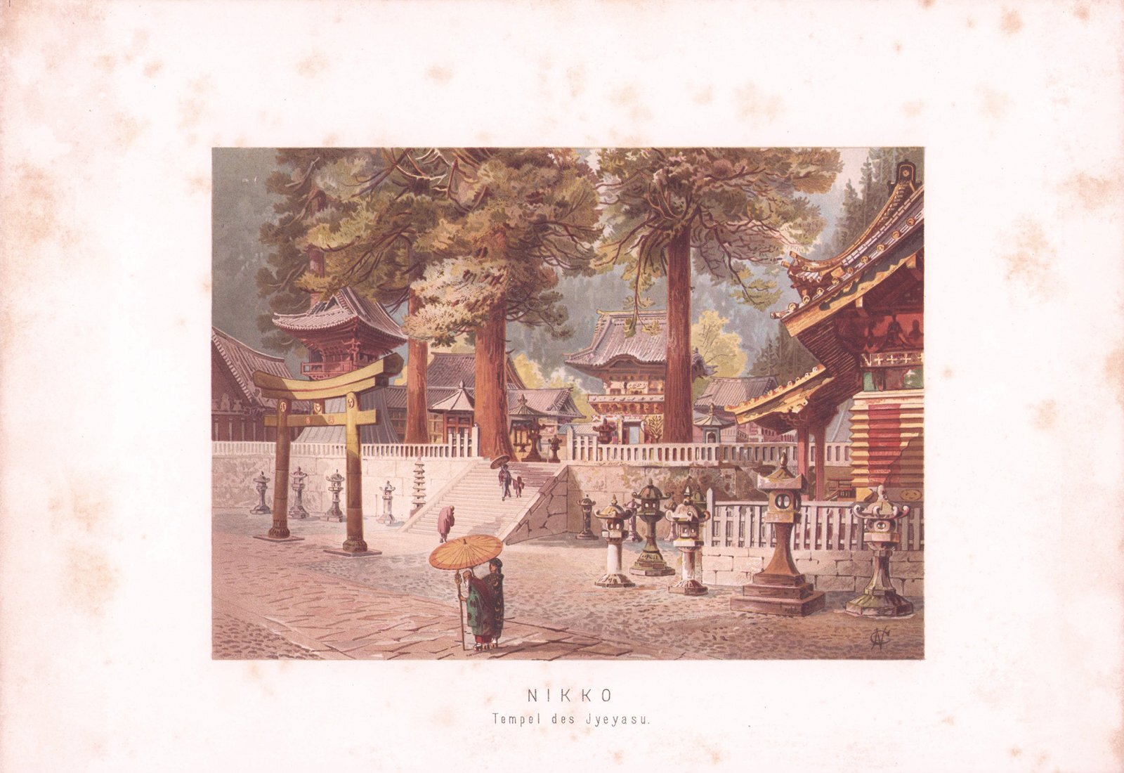 画像: 日本紙蝶々　独文