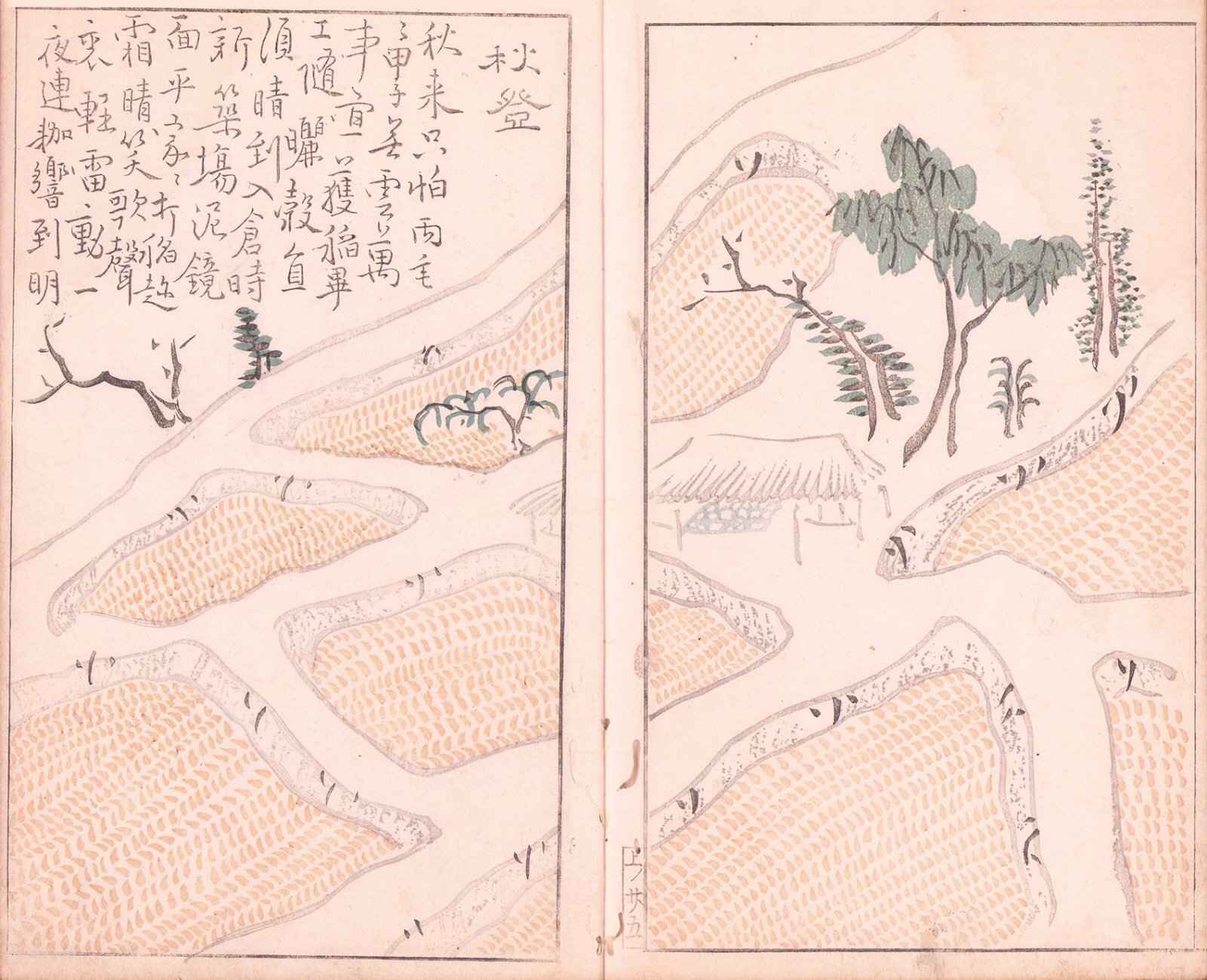 画像: 大雅堂画法　雪月花３冊揃