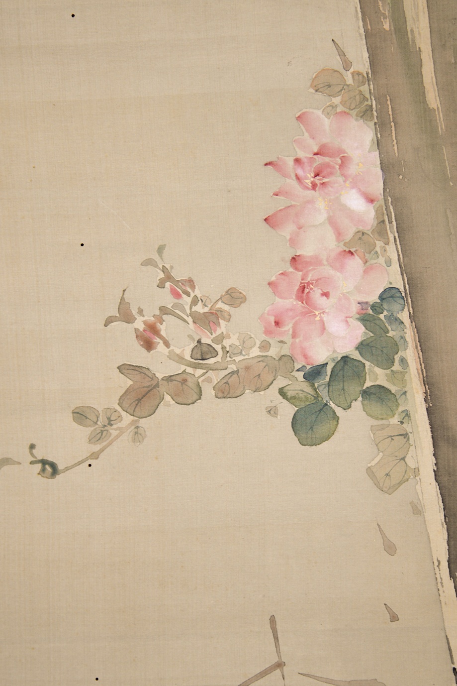 画像: 宋紫石画幅「芭蕉に薔薇」