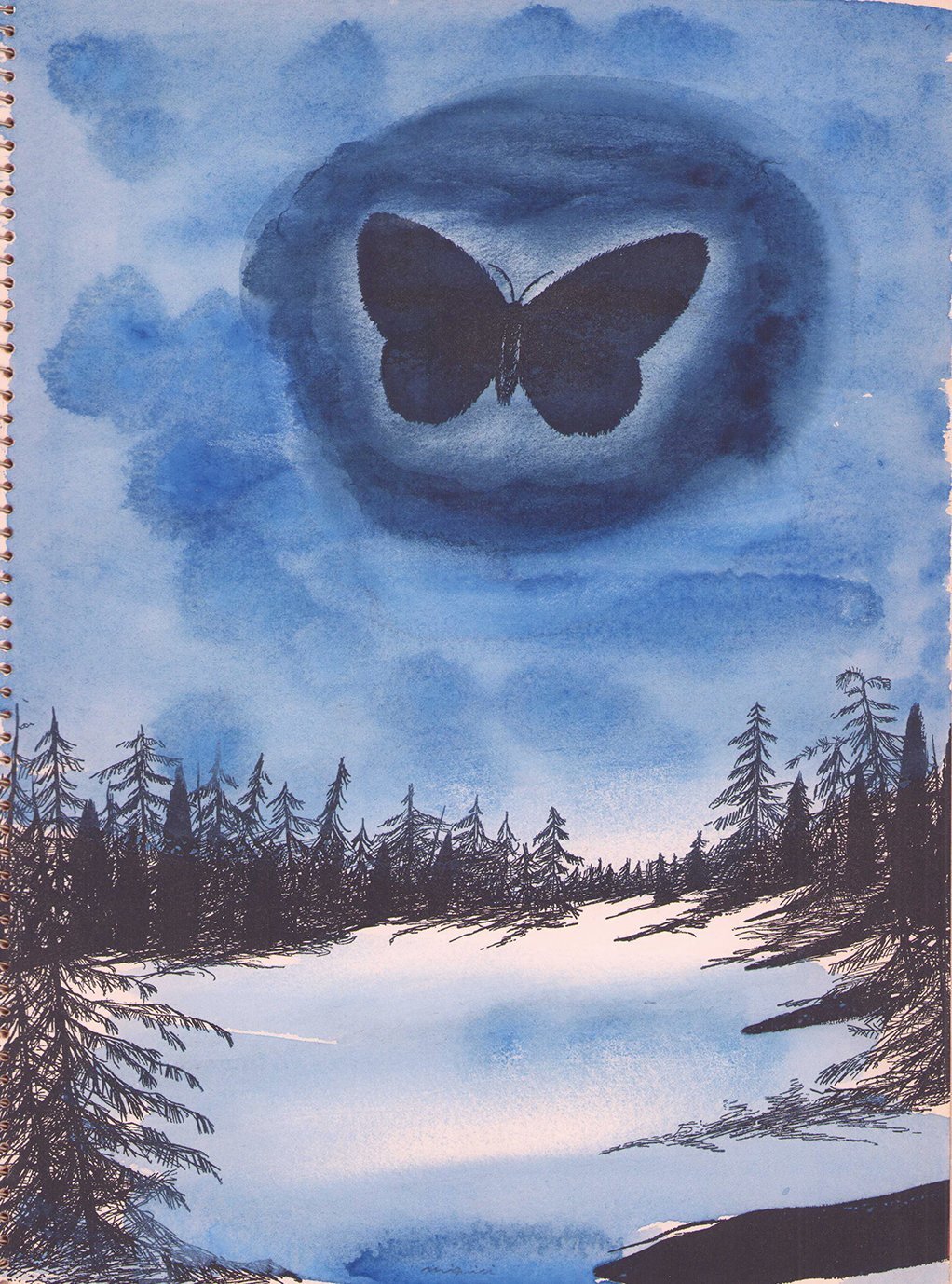 画像: 蝶と貝殻