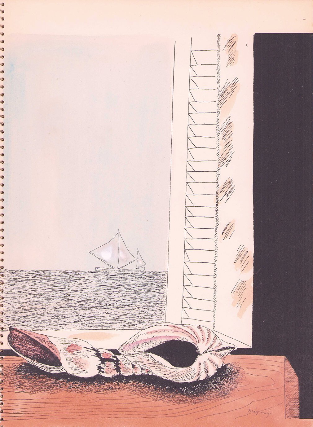 画像: 蝶と貝殻