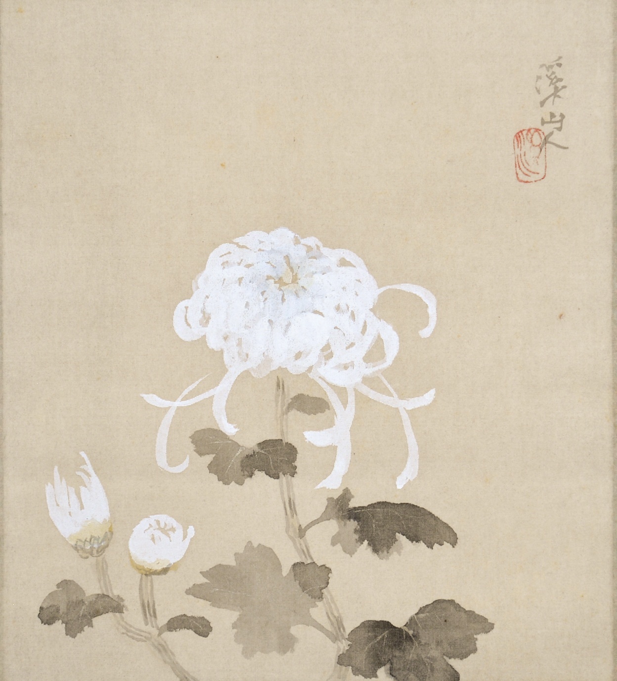 画像1: 冨田渓仙画幅「菊花」