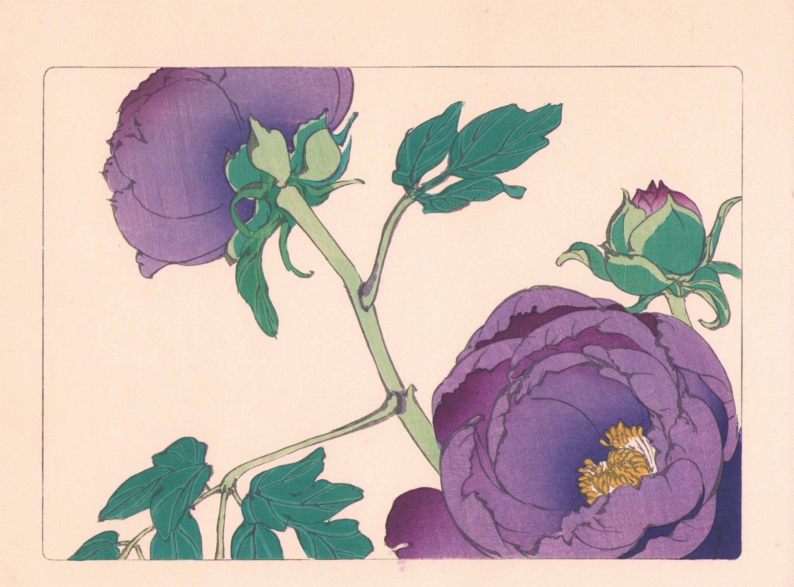 画像: 柴田是真木版画集「花くらべ」初編・２編
