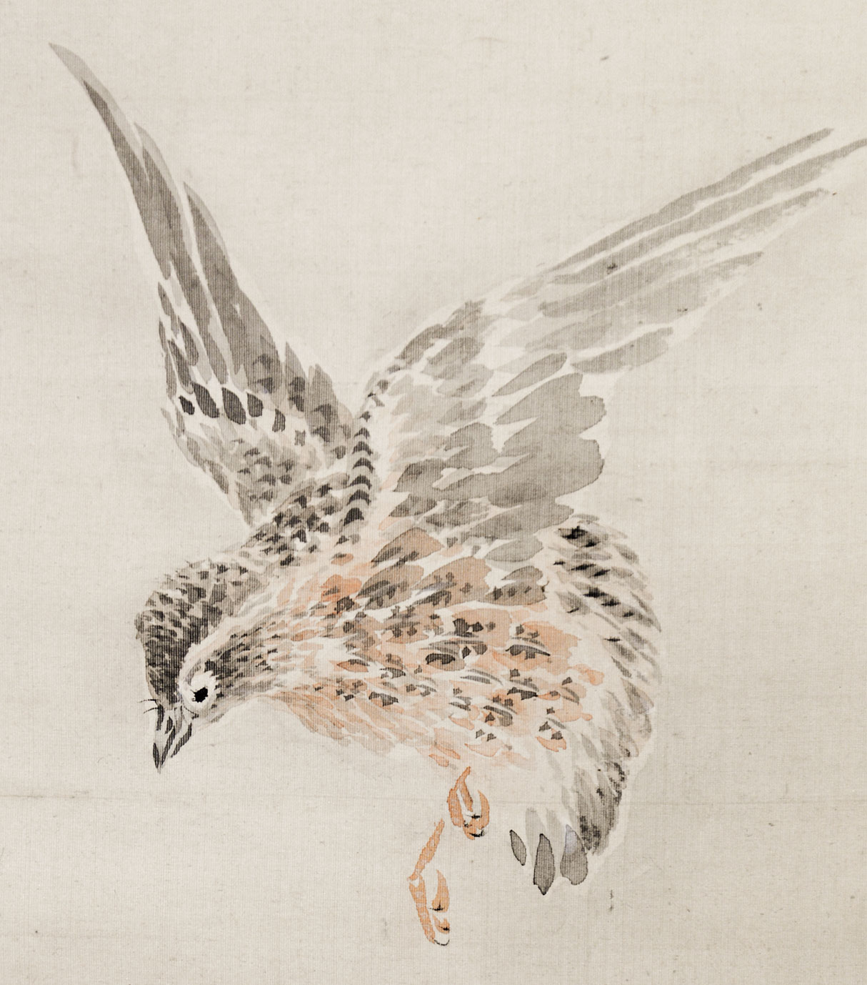 画像: 椿椿山画幅「野桜孤鶉図」